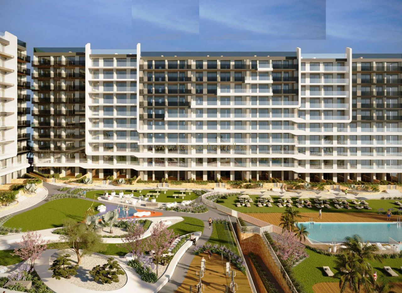 New Build - Appartement - Torrevieja  - Punta prima