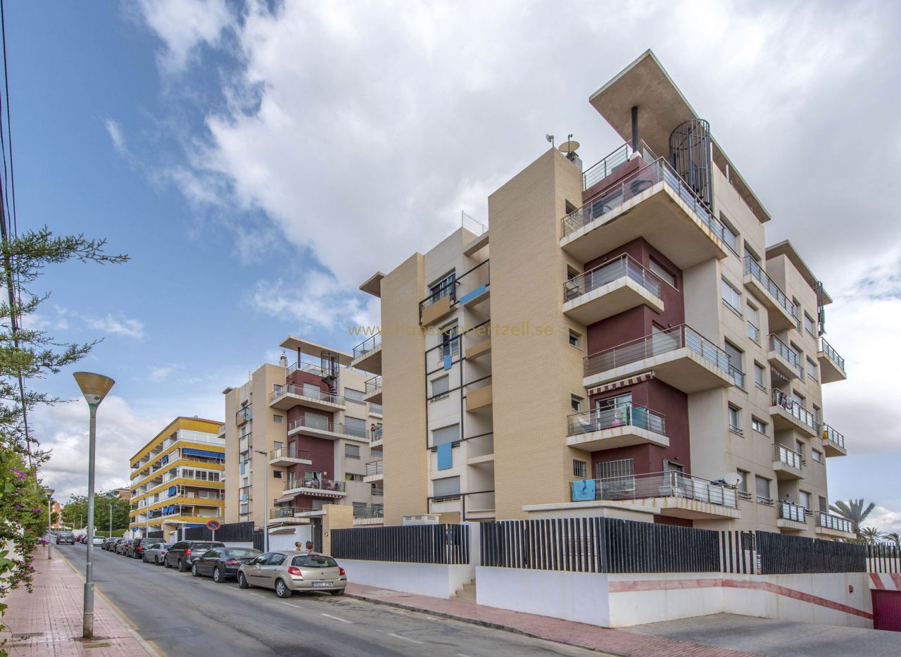 Försäljning - Lägenhet - Torrevieja - Punta Prima