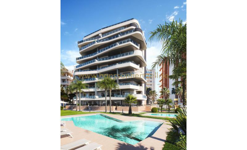 Appartement - New Build - Guardamar  - GNR-24676