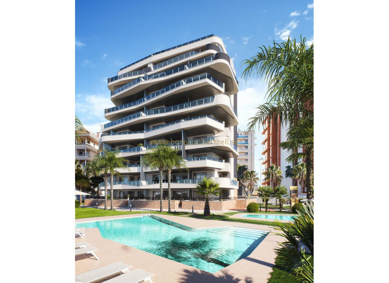 New Build - Apartment - Guardamar  - PUERTO