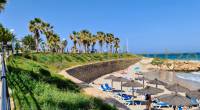 Playa Flamenca strand met blauwe stoelen, parasols en palmbomen.