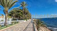 A seaside promenade fringed by palm trees in Punta Prima.	