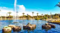 a fountain in a park surrounded by palm trees.	