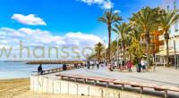 Torrevieja promenade lined with palm trees with people sitting on benches.