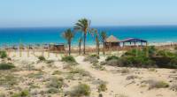 En Gran Alacant-strand med palmer och ett strandbar.