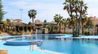 Een met palmbomen omzoomd zwembad in Gran Alacant.