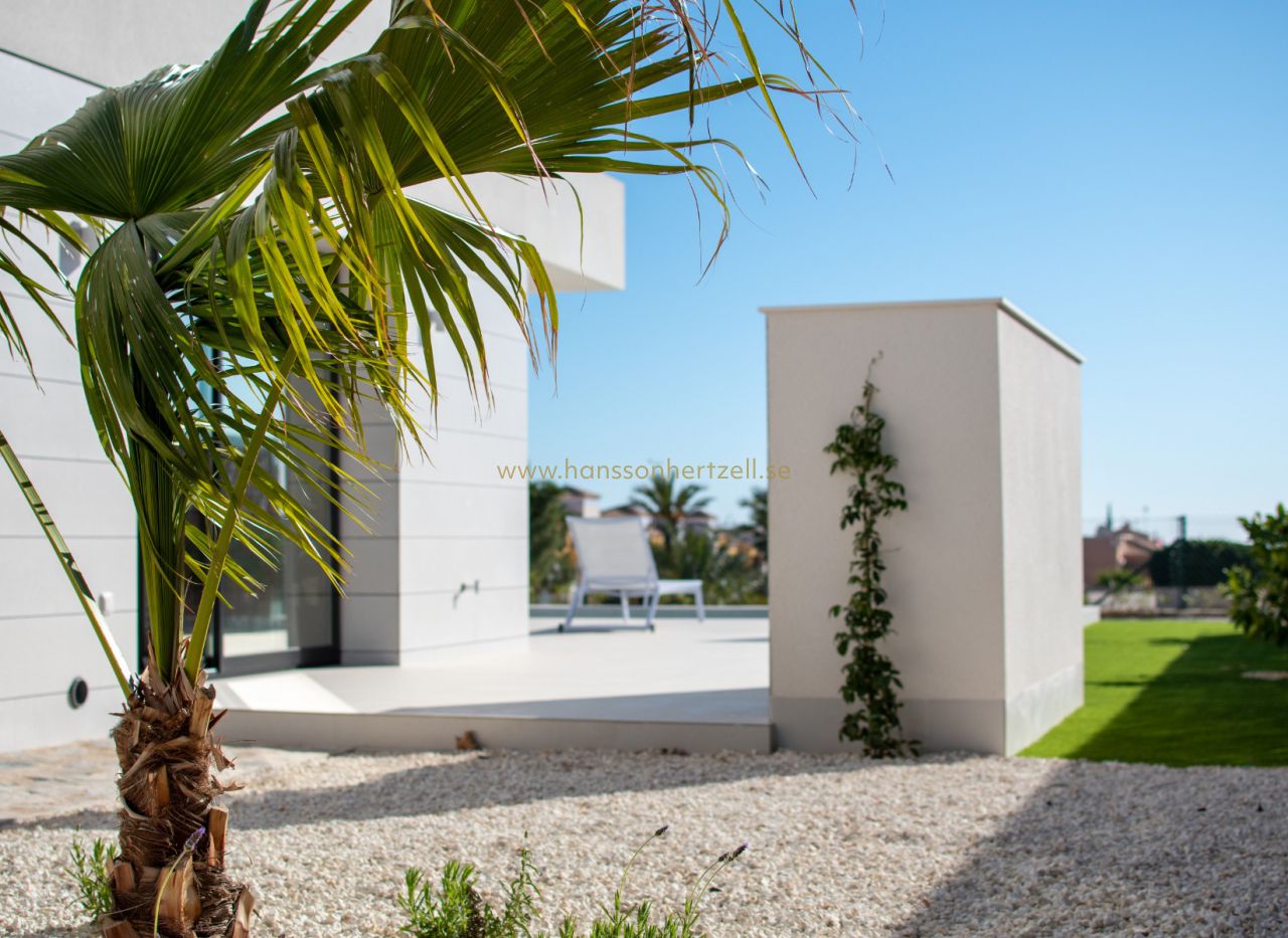 New Build - Villa - Los Montesinos  - Los Montesinos