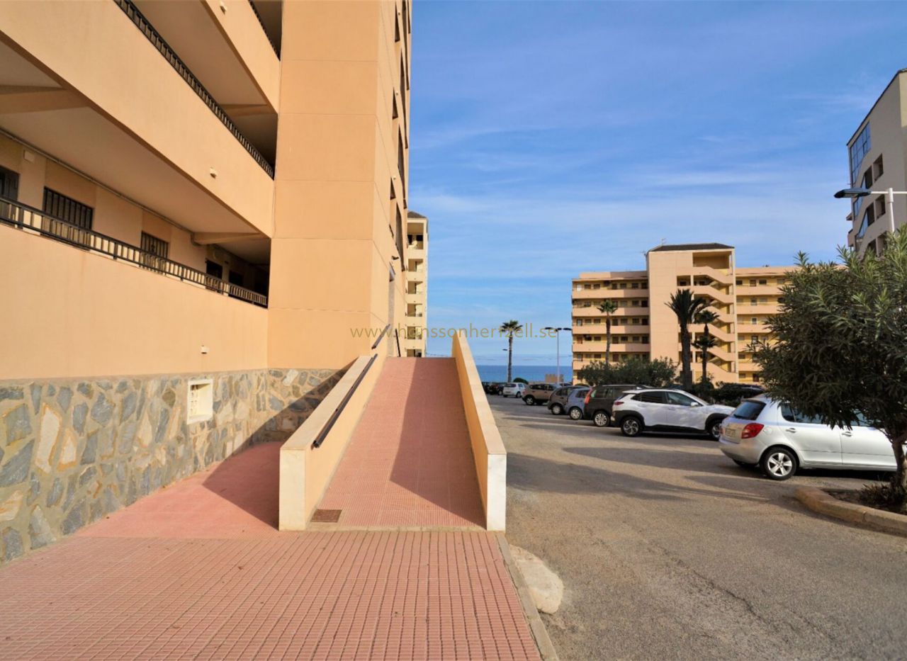 Försäljning - Lägenhet - Torrevieja - Cabo Cervera
