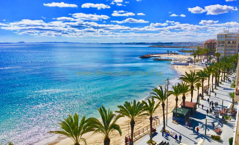 Lägenhet - Försäljning - Torrevieja - Playa Los Naufragos 