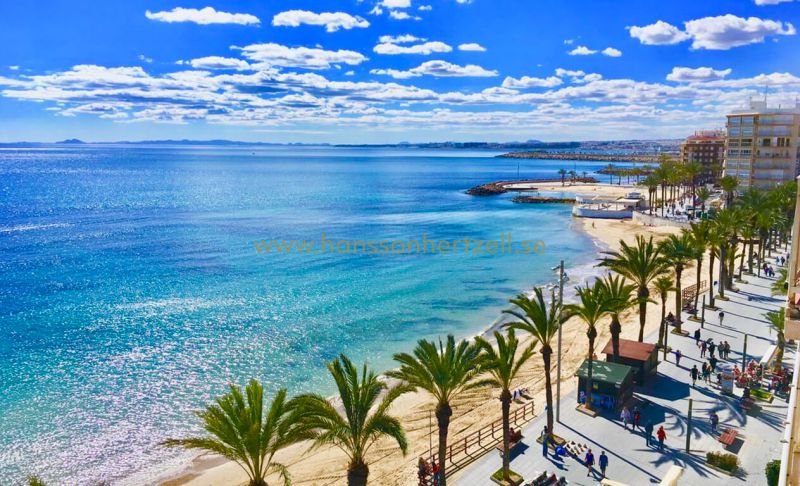 Appartement - Sale - Torrevieja  - HH-EB-INMOC-FRUTALES