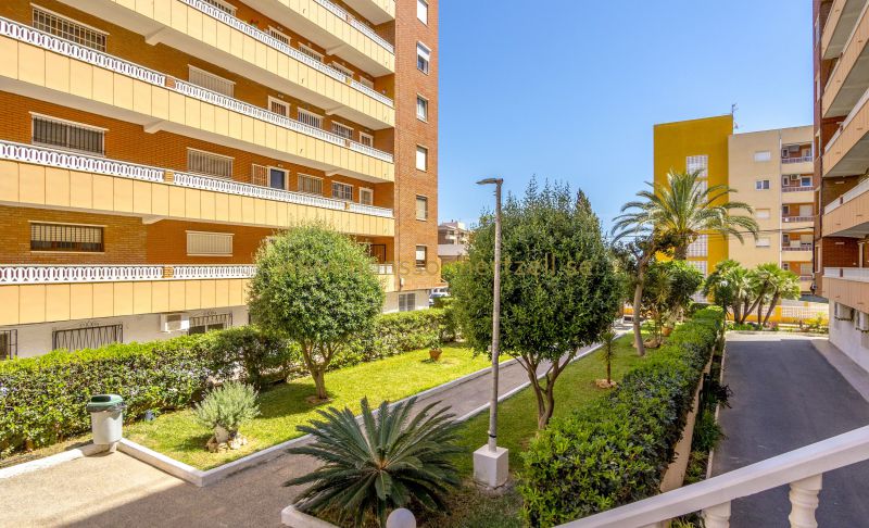 Lägenhet - Försäljning - Torrevieja - Punta Prima