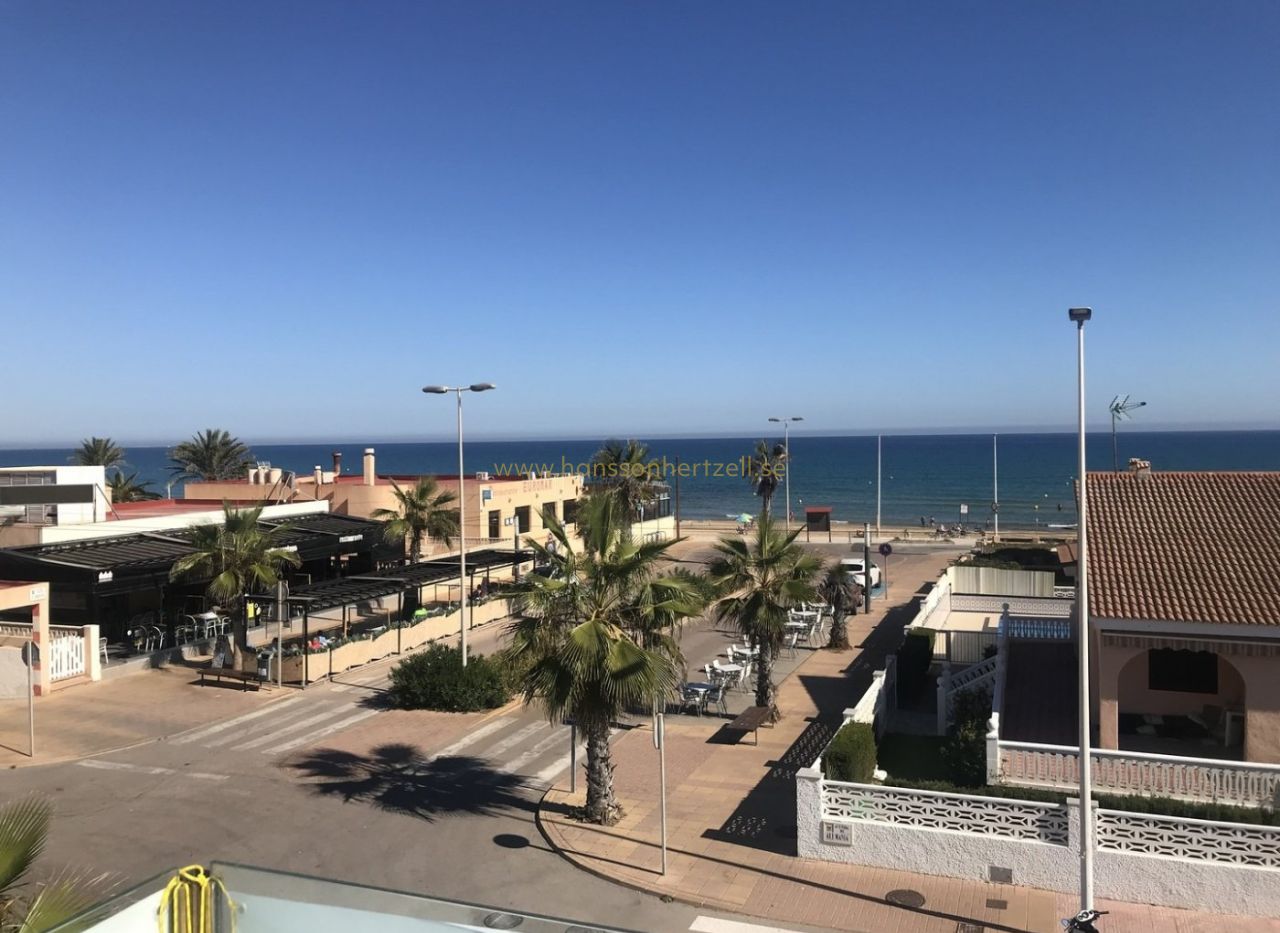 Nueva construcción  - Chalet - Torrevieja  - La Mata pueblo