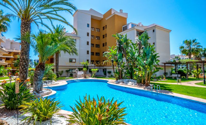 Apartment - Sale - Torrevieja  - La Entrada