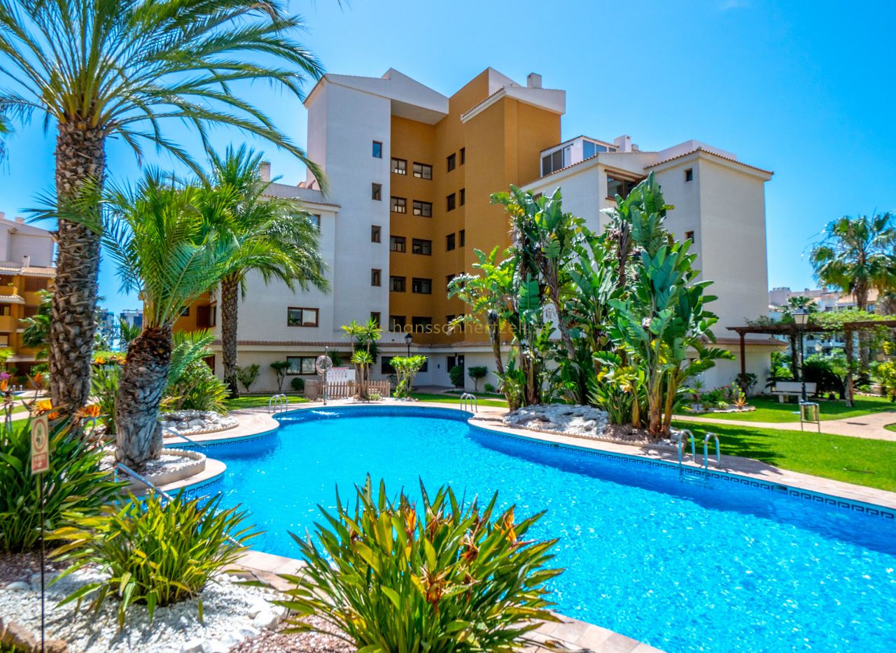 Venta - Apartamento - Torrevieja  - La Entrada