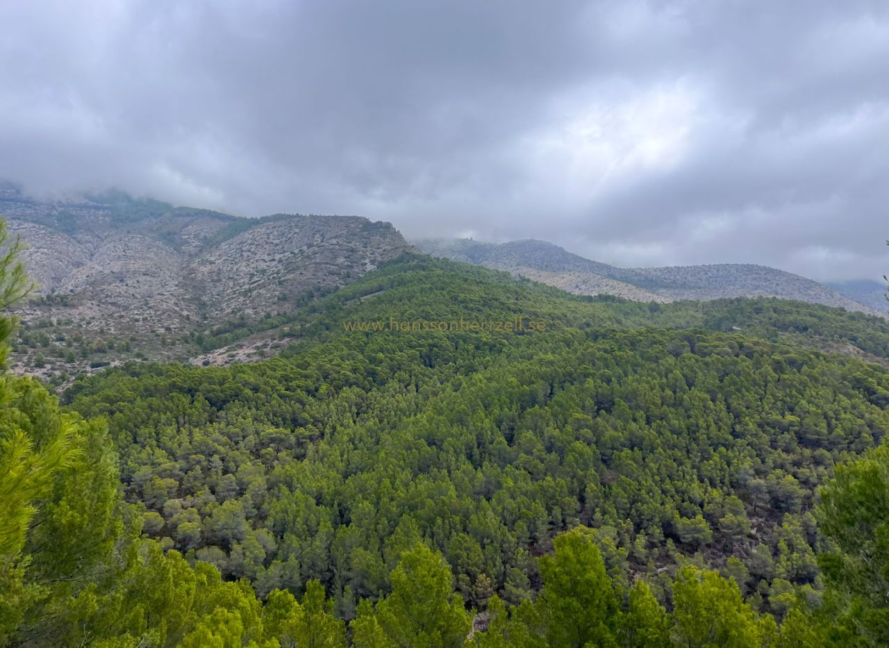 Försäljning - Tomt - Altea - Urbanización Santa Clara