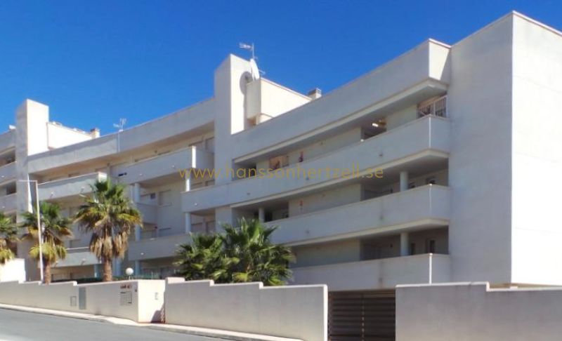 Appartement - New Build - Orihuela Costa - PAU 8