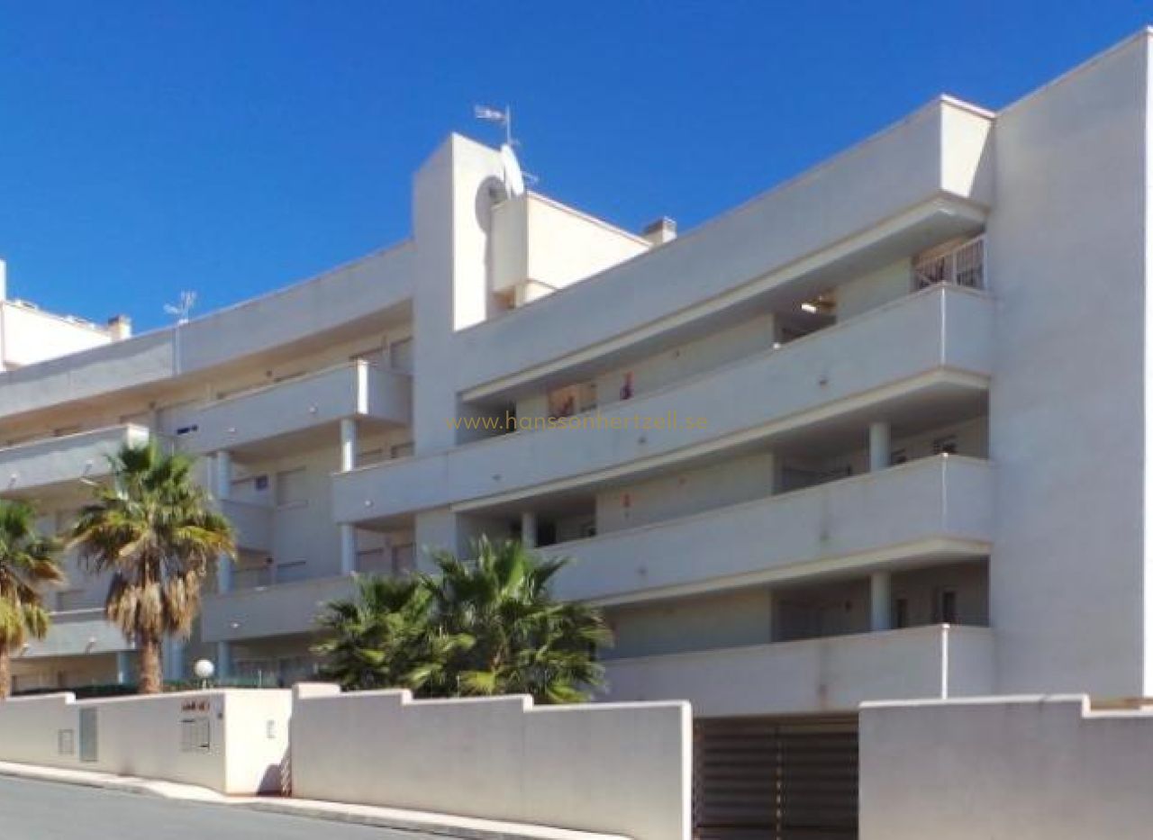 New Build - Appartement - Orihuela Costa - PAU 8