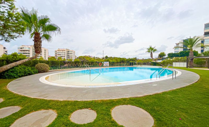 Apartment - Sale - Orihuela Costa - Villamartin 