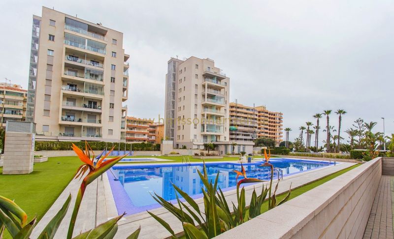 Apartment - Sale - Torrevieja  - La Mata