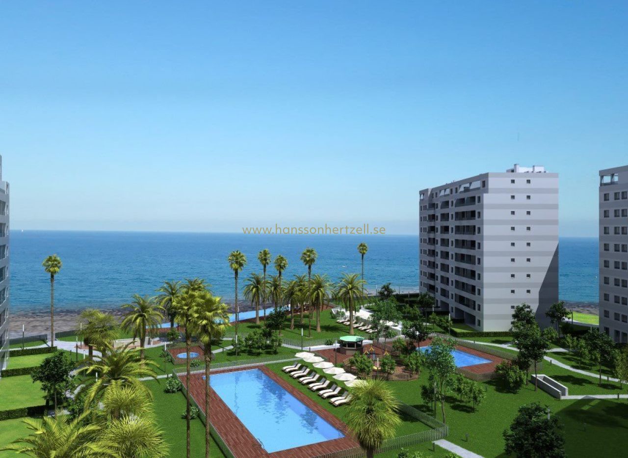 New Build - Apartment - Torrevieja  - Punta prima