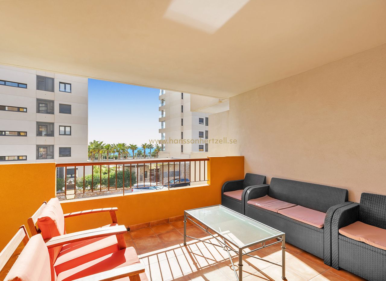 Sale - Apartment - Torrevieja  - La Recoleta