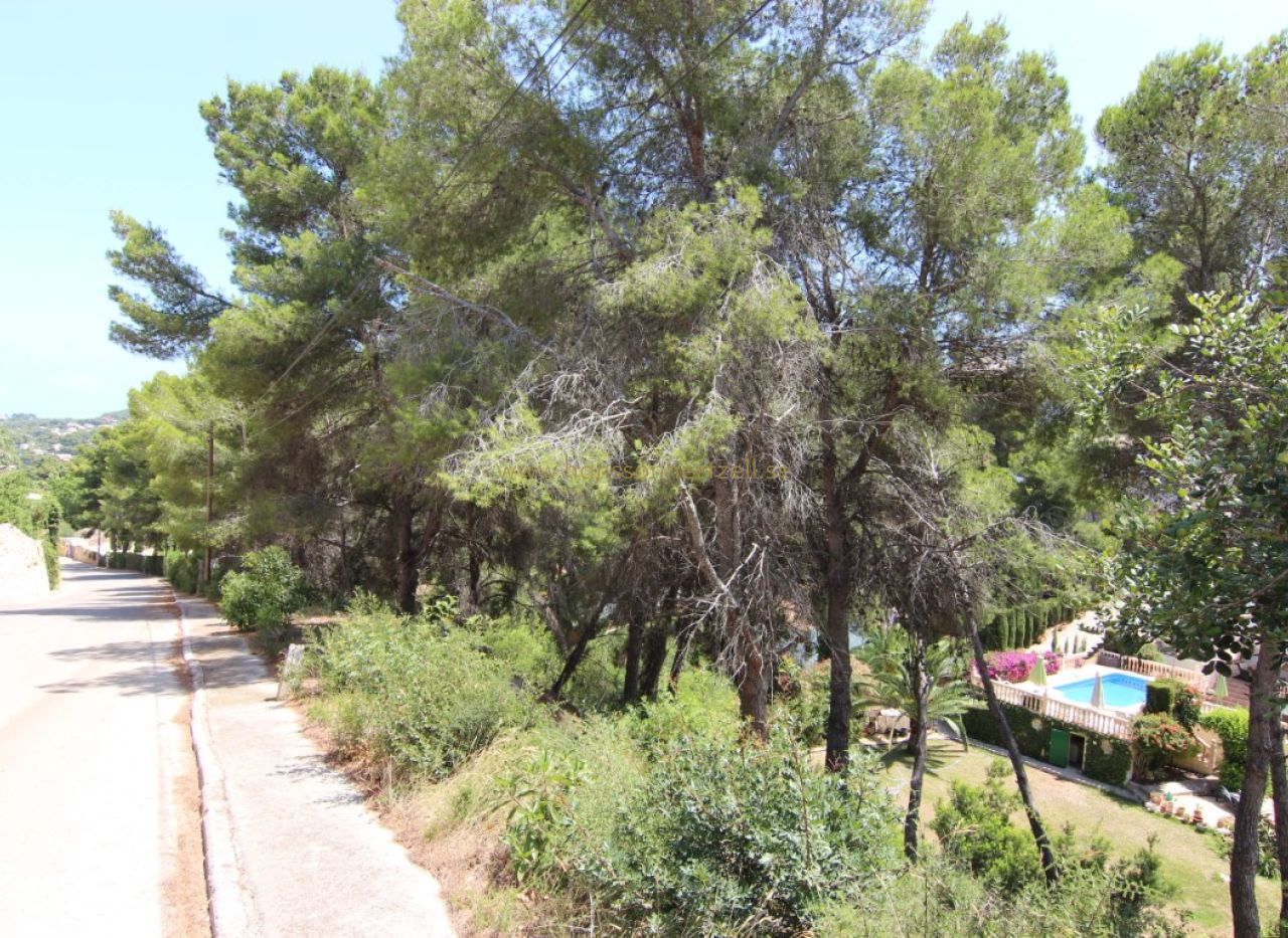 Sale - Plot - Javea - Tosalet