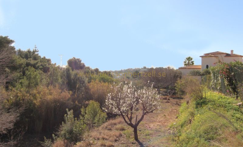 Land - Sale - Benissa - Benissa