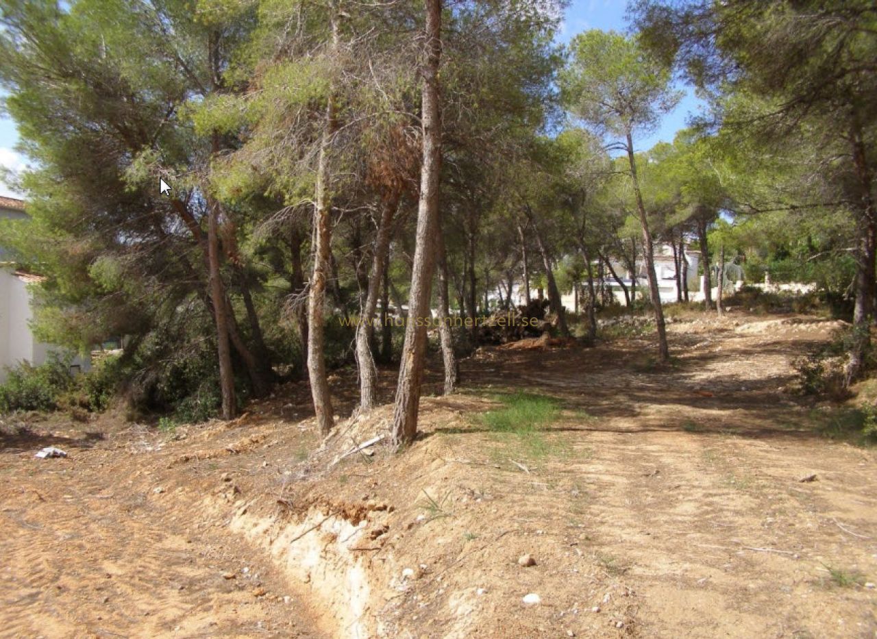 Sale - Plot - Moraira - Pinar de l’Advocat