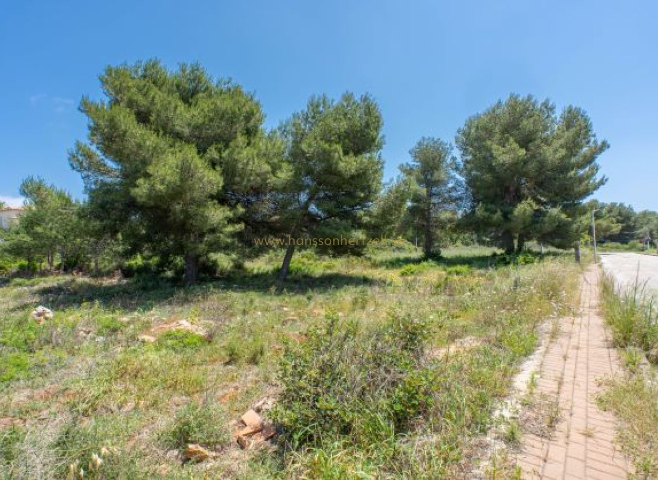 Sale - Land - Javea - Costa Nova