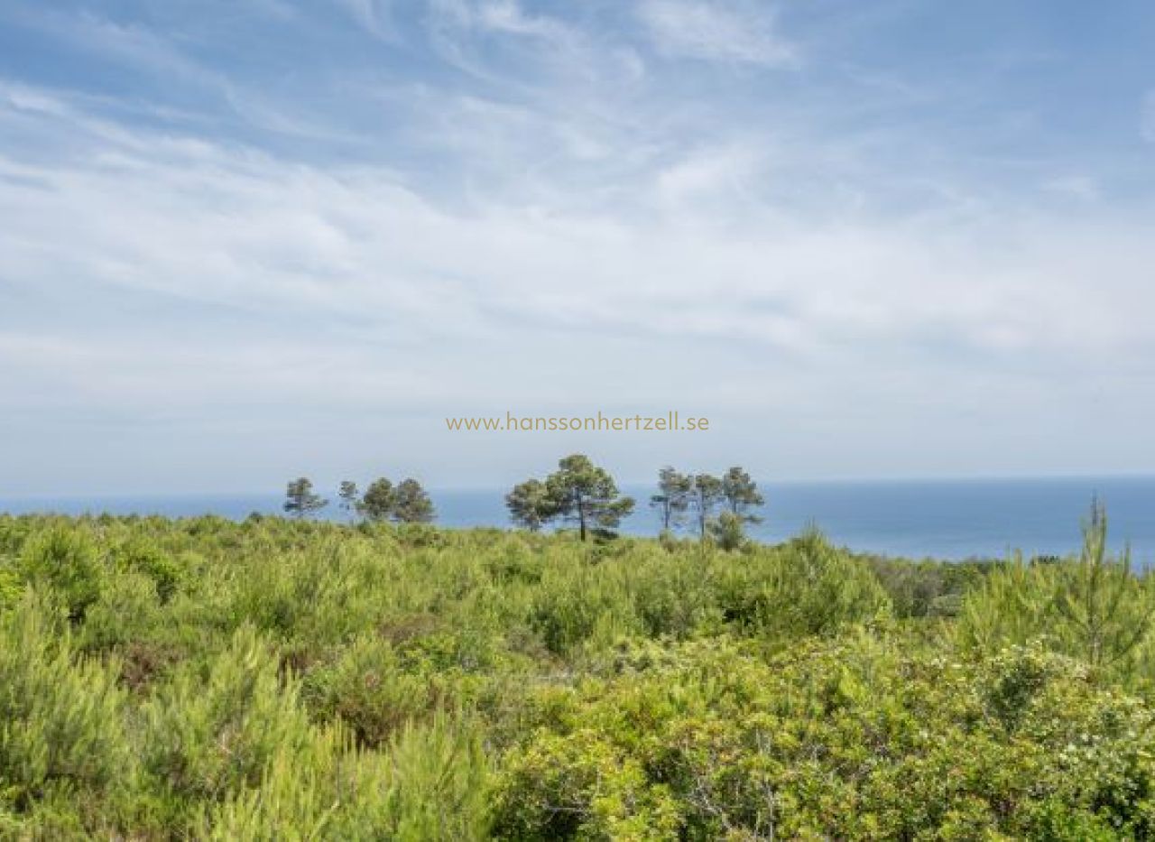 Försäljning - Tomt - Javea - Cabo de Sant Antonio