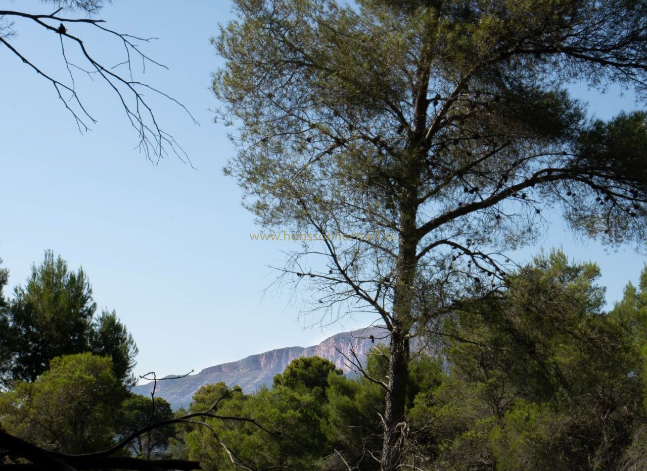 Försäljning - Tomt - Javea - Rafalet