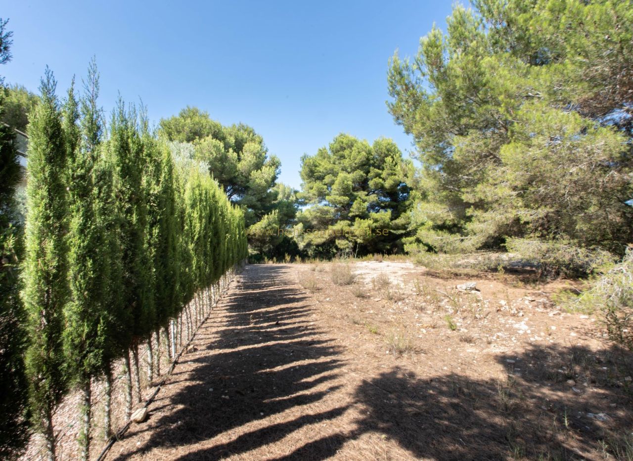 Sale - Plot - Javea - Cap de San Antonio