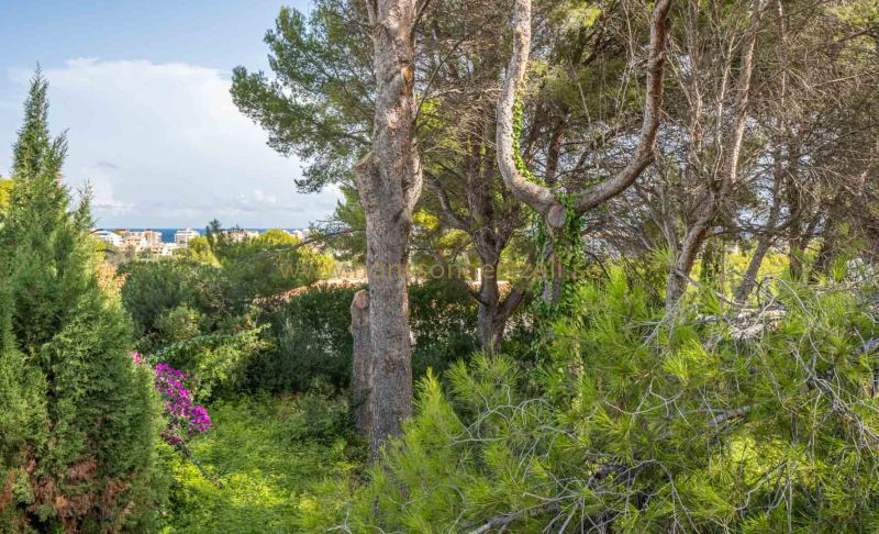 Land - Sale - Javea - Adsubia