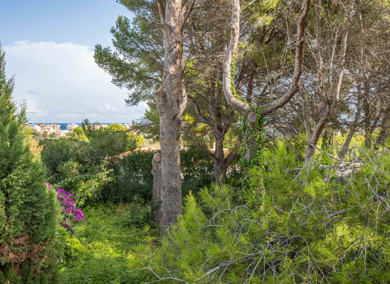 Sale - Plot - Javea - Adsubia