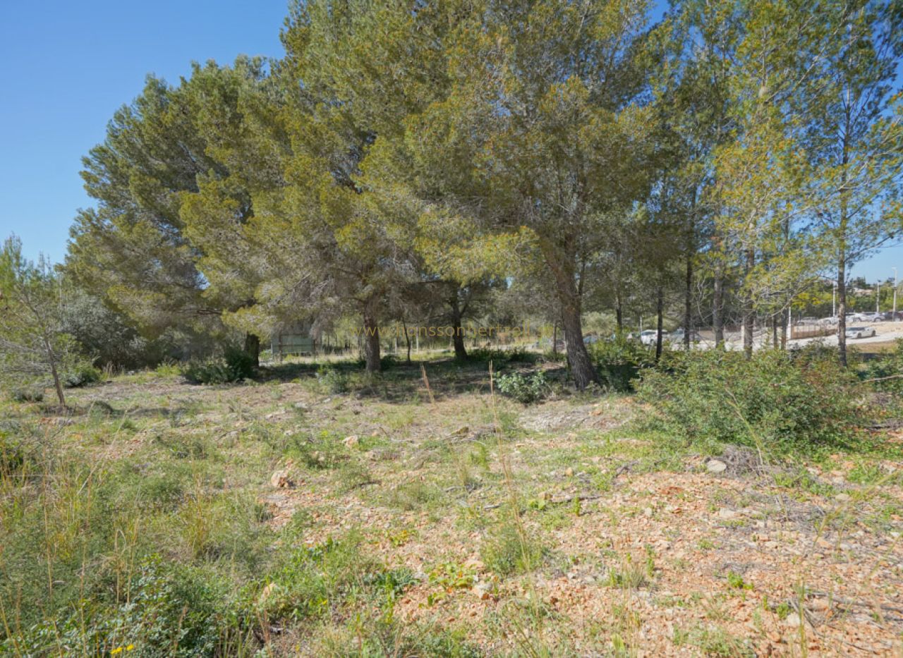 Venta - Parcela - Javea - Montgo