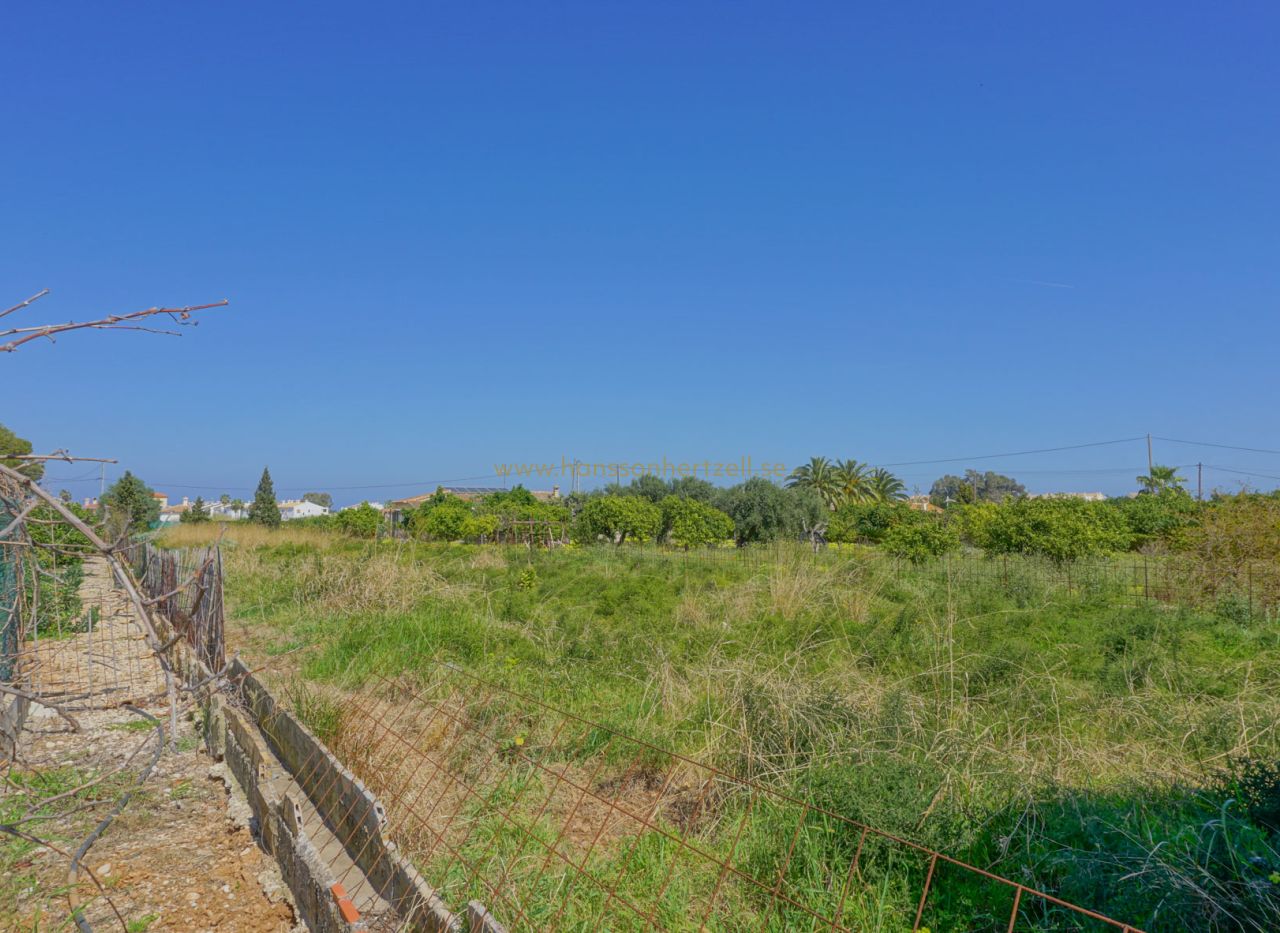 Venta - Parcela - Els Poblets - Almadrava