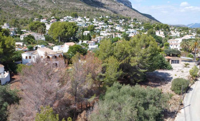 Plot - Sale - Denia - Don Quijote