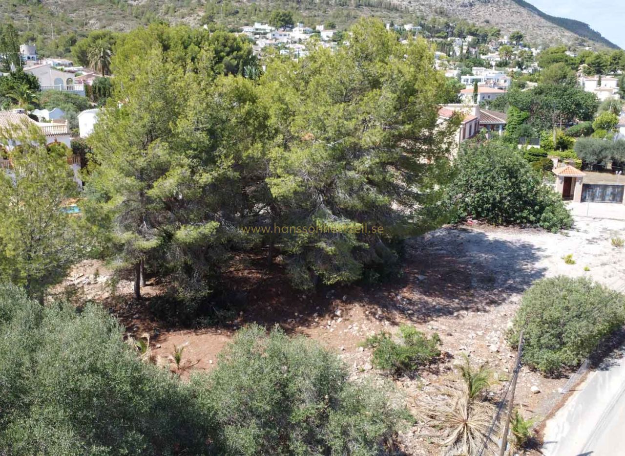 Sale - Plot - Denia - Don Quijote