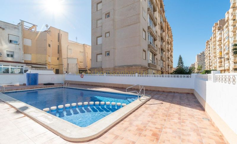 Apartment - Sale - Torrevieja  - Nueva Torrevieja