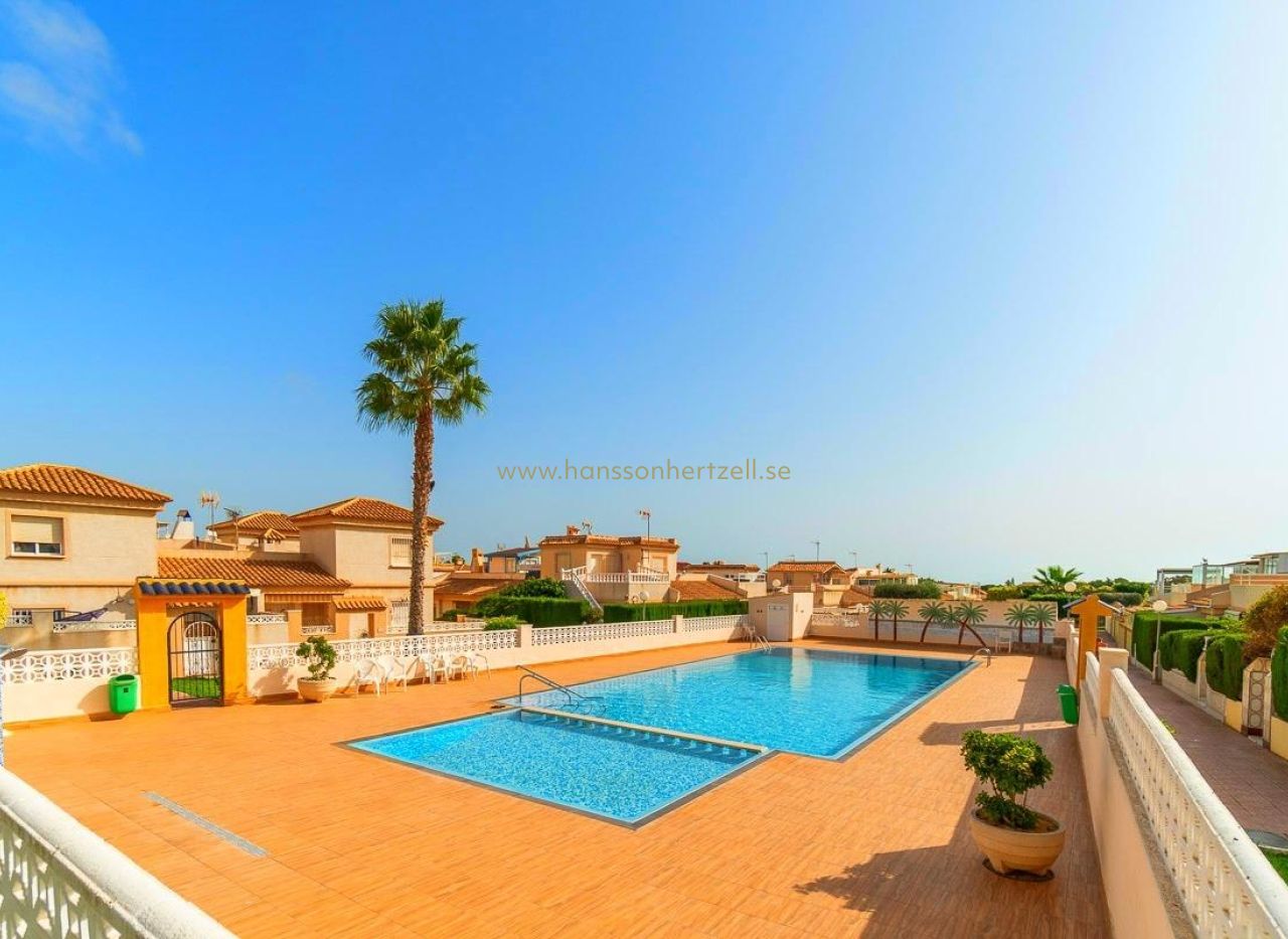 Sale - Maison de ville - Torrevieja  - Los Altos