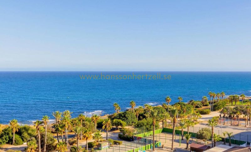 Appartement - Sale - Torrevieja  - Cabo Cervera