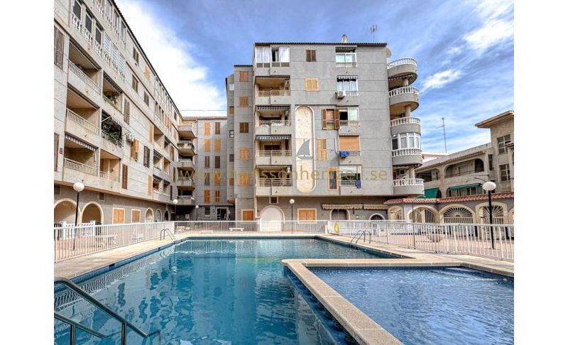Appartement - Sale - Torrevieja  - Acequion