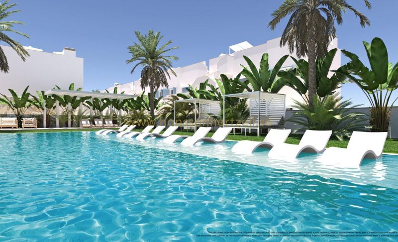 Apartamento - Nueva construcción  - Pilar de la Horadada - Torre de la Horadada