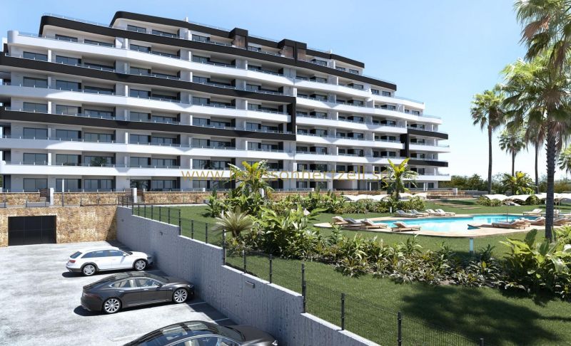 Appartement - New Build - San Miguel De Salinas - Pueblo