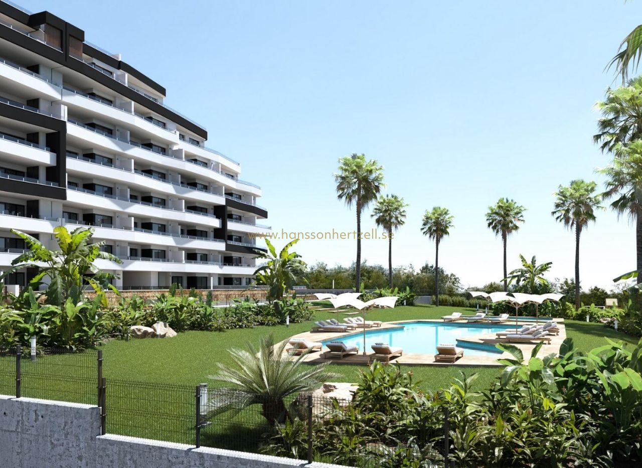 New Build - Appartement - San Miguel De Salinas - Pueblo