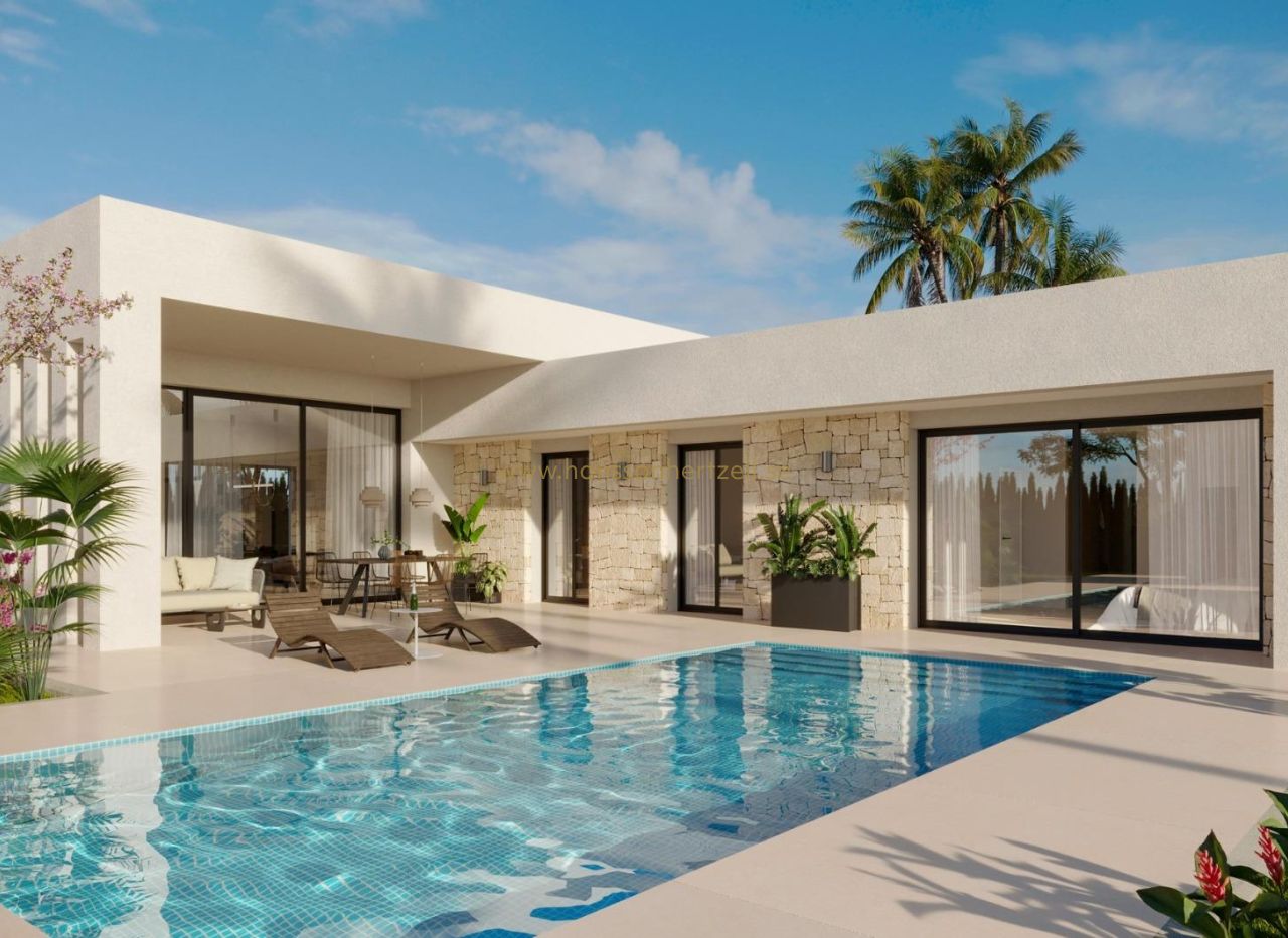 New Build - Villa - Aspe	 - Poligono 19