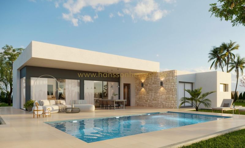 Chalet - Nueva construcción  - Aspe	 - Poligono 19