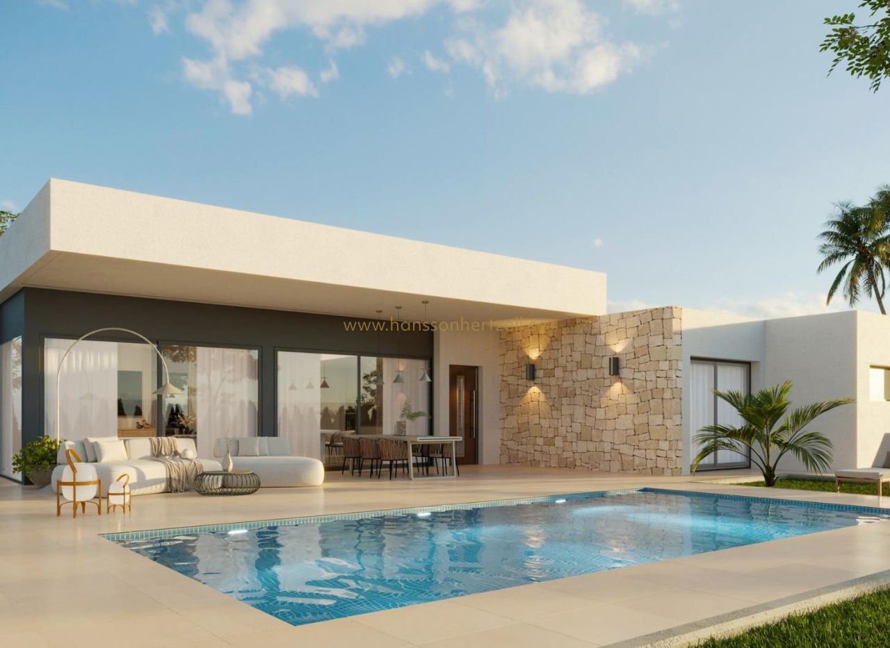 New Build - Villa - Aspe	 - Poligono 19