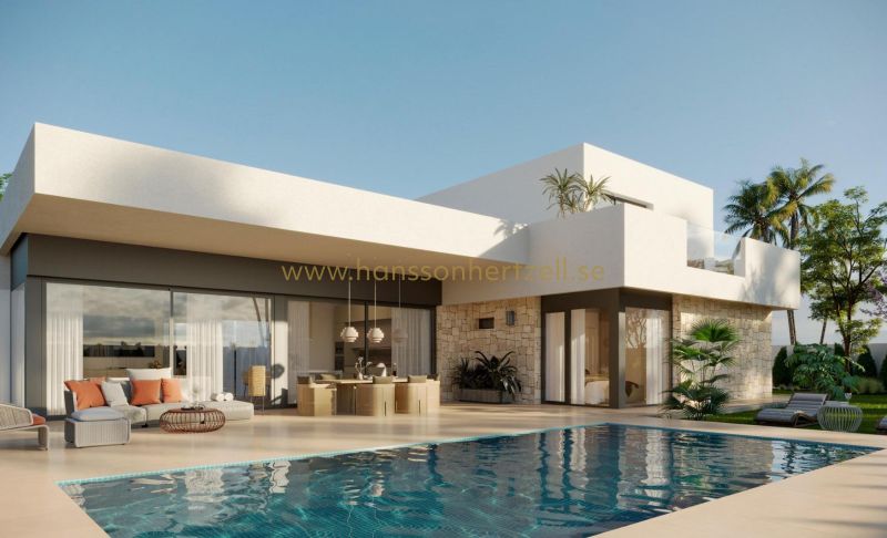 Chalet - Nueva construcción  - Aspe	 - Poligono 19