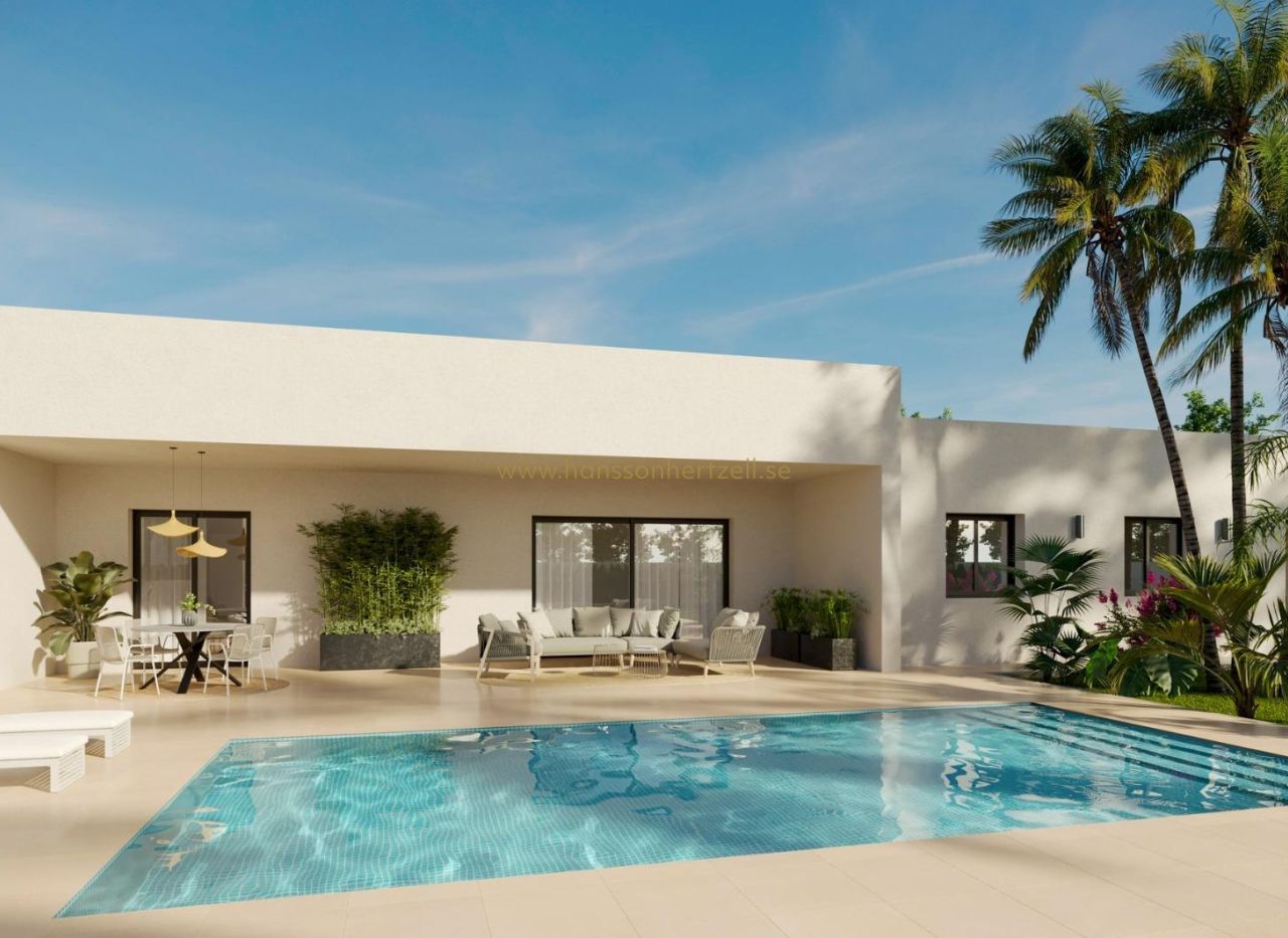 New Build - Villa - Aspe	 - Poligono 19